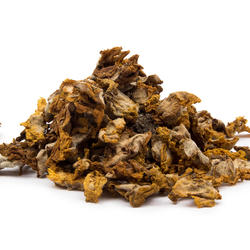 Denseflower Mullein (Verbascum Densiflorum) – Herb